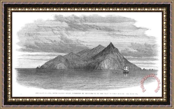 Others Pitcairn Island Framed Print