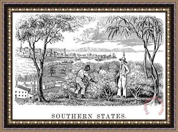 Others Plantation Life Framed Painting