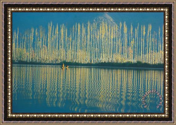 Others Poplars in late autumn sunlight Framed Painting