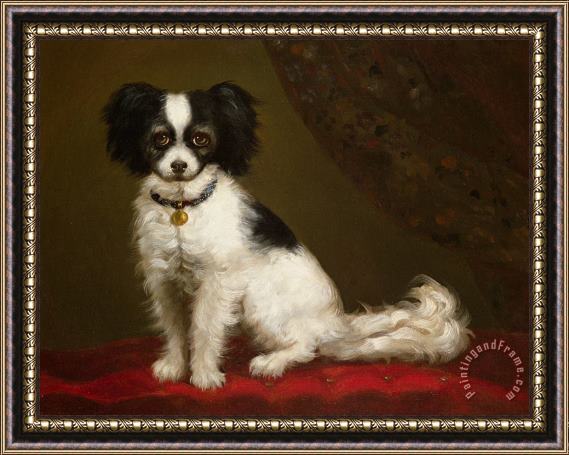 Others Portrait of a Spaniel Framed Print