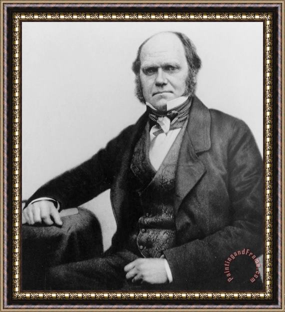 Others Portrait Of Charles Darwin Framed Painting
