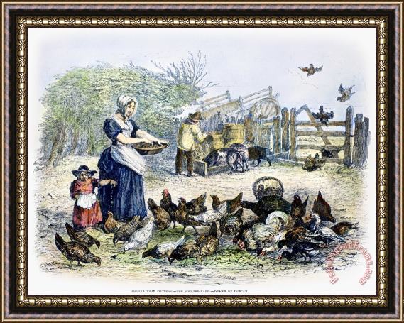 Others Poultry Yard, 1847 Framed Print