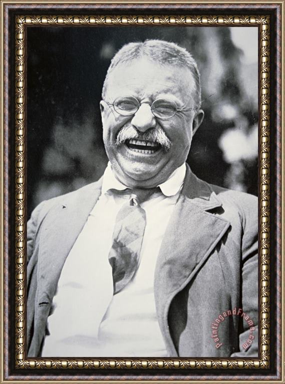 Others President Theodore Roosevelt Framed Painting