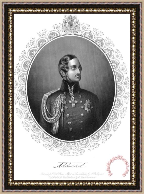 Others Prince Albert (1819-1861) Framed Print
