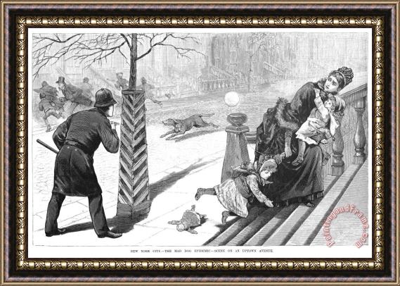 Others Rabies Epidemic, 1886 Framed Print