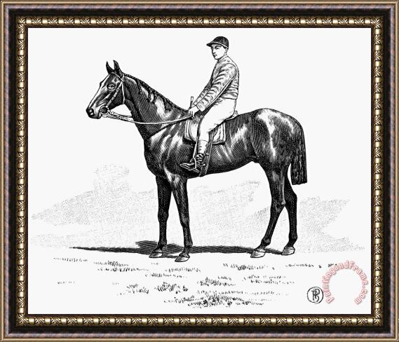 Others Race Horse, 1900 Framed Painting