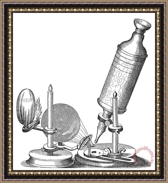 Others Robert Hookes Microscope Framed Painting