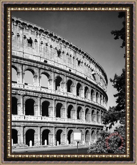 Others Rome: Colosseum Framed Print