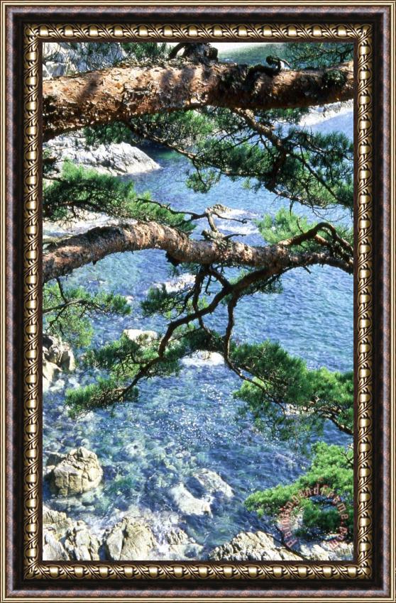 Others Russian Far East Framed Painting