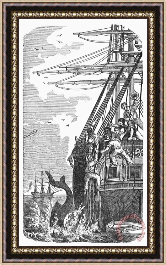 Others Shipboard Life Framed Print
