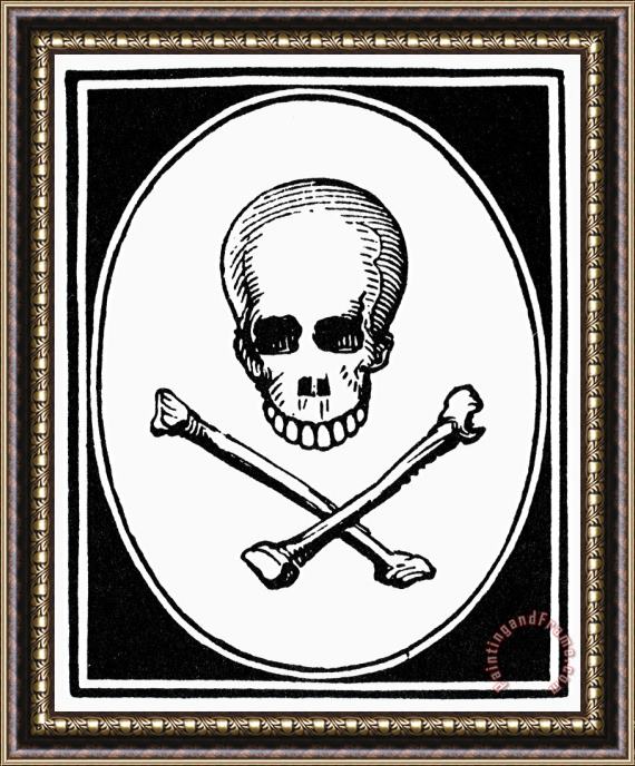 Others Skull And Crossbones Framed Painting
