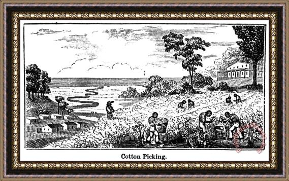 Others Slavery: Plantation Life Framed Painting