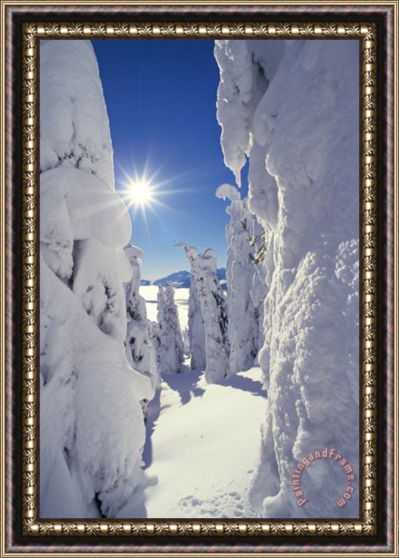 Others Snowscape Snow Covered Trees And Bright Sun Framed Painting