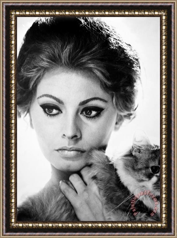 Others Sophia Loren (1934- ) Framed Print