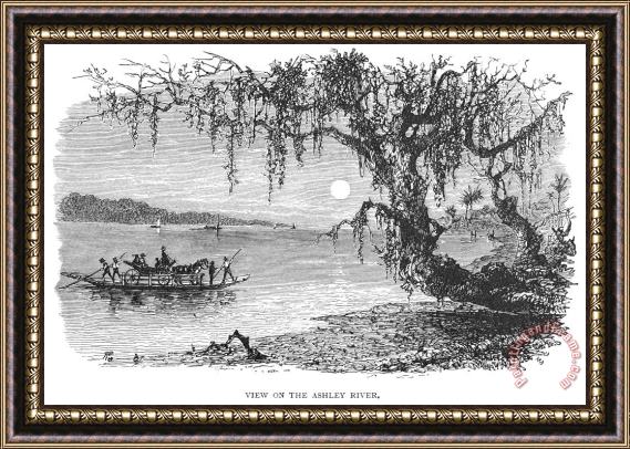 Others South Carolina: Scenic View Framed Painting
