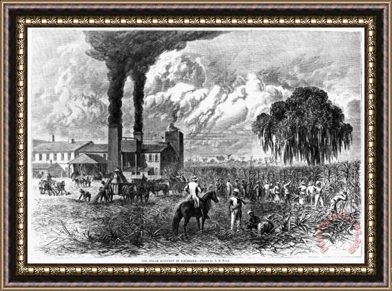 Others South: Sugar Plantation Framed Painting