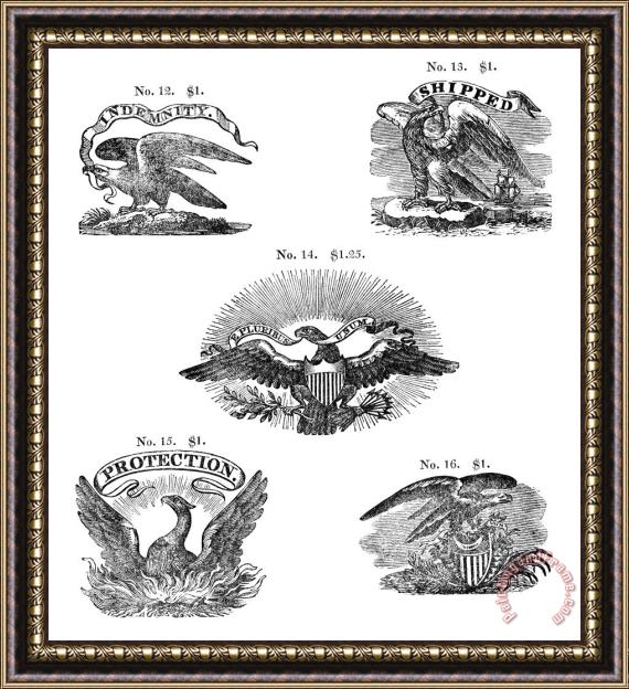 Others Symbols: Eagles Framed Print