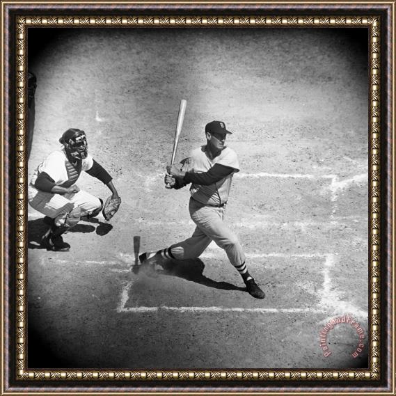 Others Ted Williams (1918-2002) Framed Print