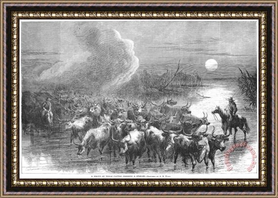 Others Texas: Cattle Drive, 1867 Framed Painting