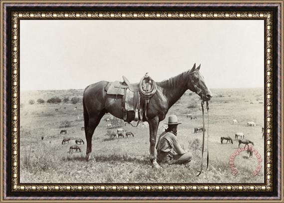Others TEXAS: COWBOY, c1910 Framed Print