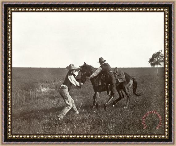 Others TEXAS: COWBOYS, c1908 Framed Print