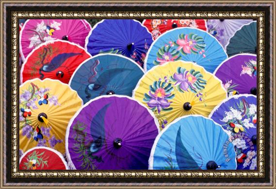 Others Thailand. Chiang Mai Region. Umbrellas Framed Painting