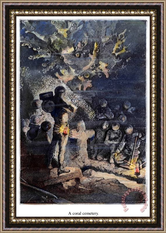 Others Verne: 20,000 Leagues Framed Painting