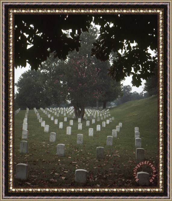 Others Vicksburg: Cemetery Framed Print