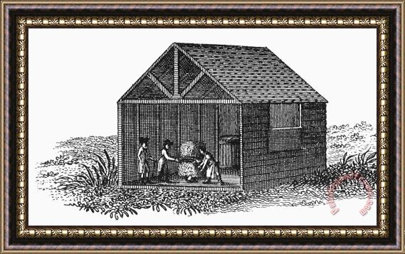 Others Virginia: Tobacco Culture Framed Print