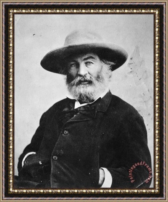 Others Walt Whitman (1819-1892) Framed Print
