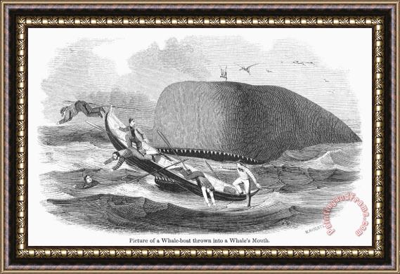 Others Whaling, 1850 Framed Painting