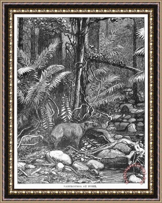 Others Wild Boar Framed Painting