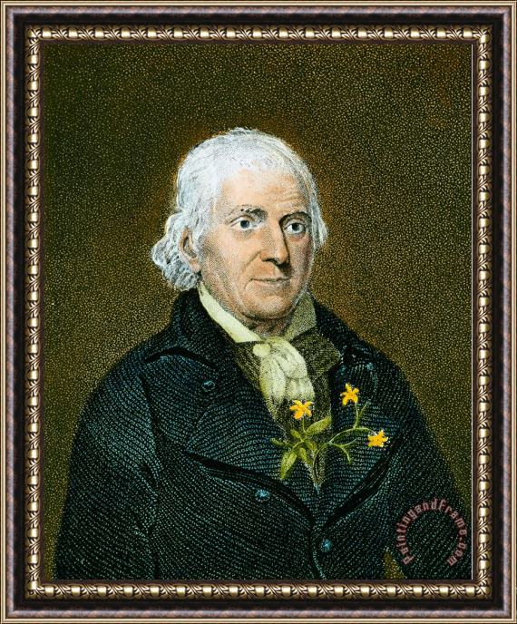 Others William Bartram (1739-1823) Framed Painting
