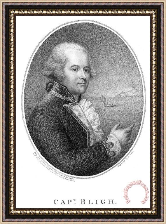 Others William Bligh (1754-1817) Framed Painting