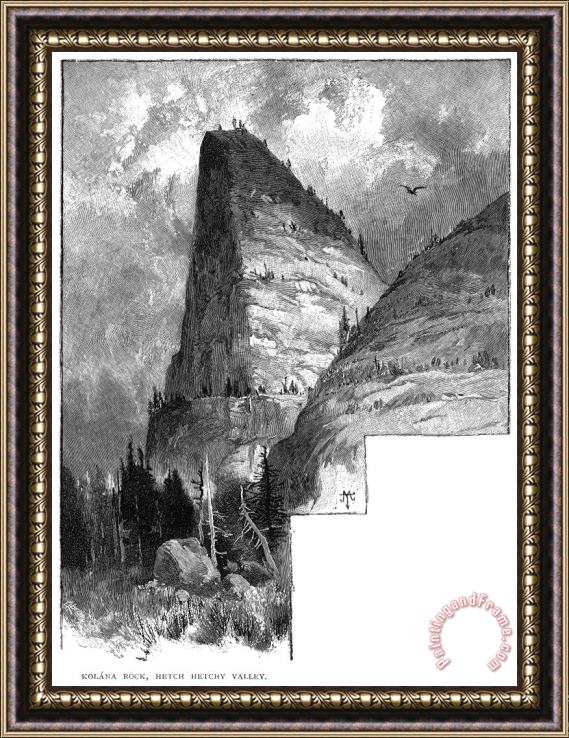 Others Yosemite National Park Framed Painting