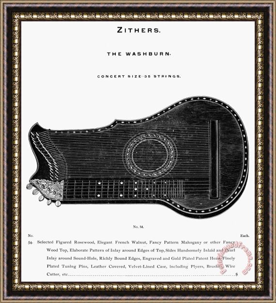 Others Zither Framed Print