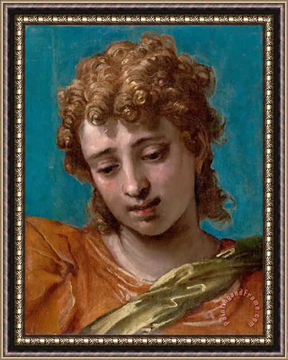 Paolo Caliari Veronese Head of Saint Michael, From The Petrobelli Altarpiece Framed Painting