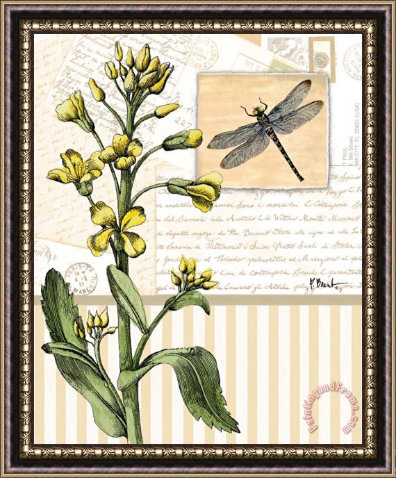 Paul Brent Botanical Collage II Framed Painting