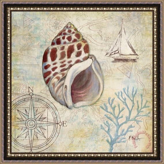Paul Brent Discovery Shell Iv Framed Painting