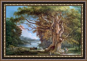 Olive Trees And Poppies Framed Paintings - An Ancient Beech Tree by Paul Sandby