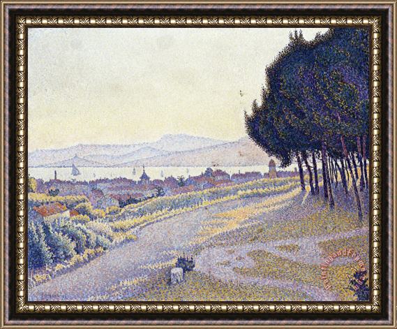 Paul Signac Pinewood, St. Tropez Framed Painting