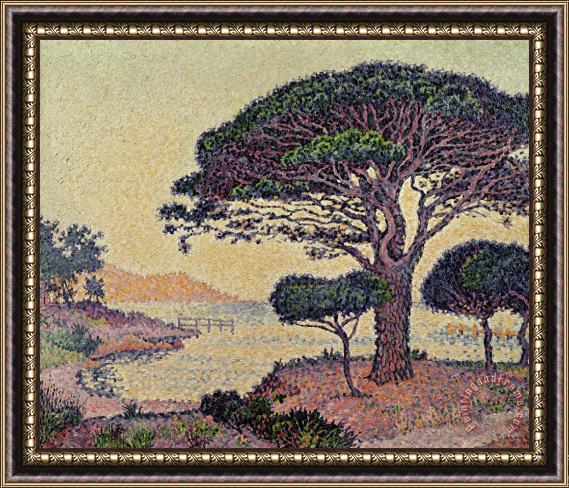 Paul Signac Umbrella Pines at Caroubiers Framed Print