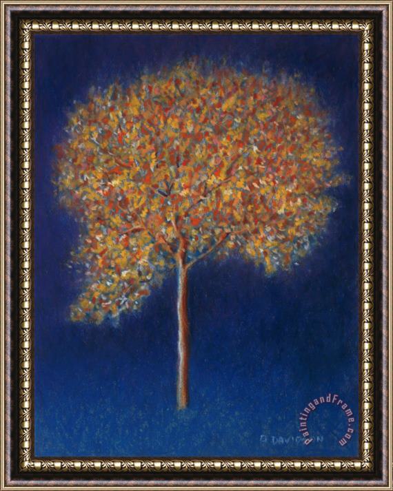 Peter Davidson Tree In Blossom Framed Painting