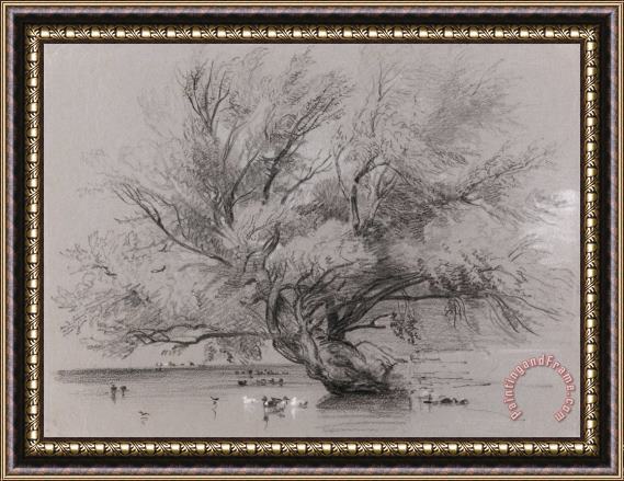 Peter de Wint Pond with Willow Tree And Ducks Framed Painting