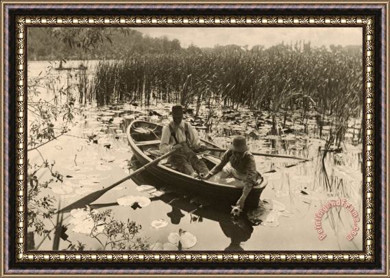 Peter Henry Emerson Gathering Water Lilies Framed Print