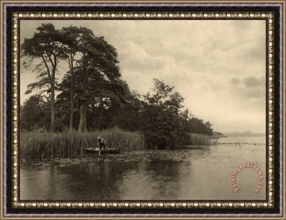 Peter Henry Emerson The Haunt of The Pike Framed Print