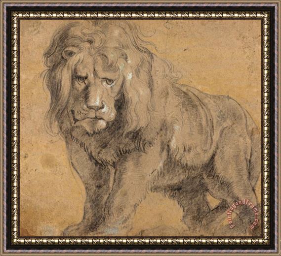 Peter Paul Rubens Lion Framed Painting