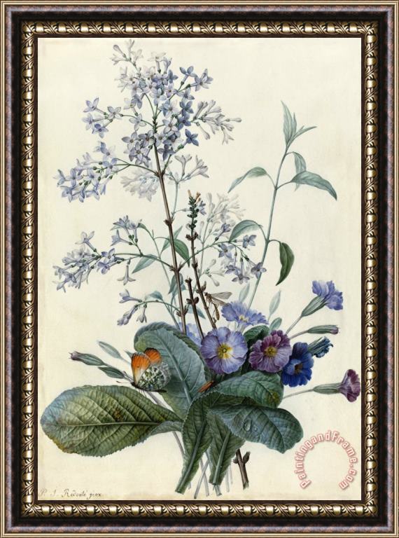 Pierre Joseph Redoute A Bouquet of Flowers with Insects Framed Painting