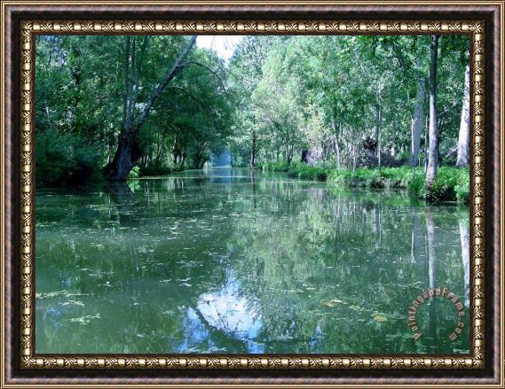 Poitevin Marsh Poitevin Marsh Framed Painting