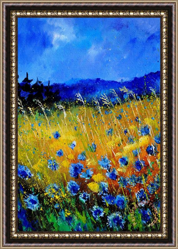 Pol Ledent Blue cornflowers Framed Print